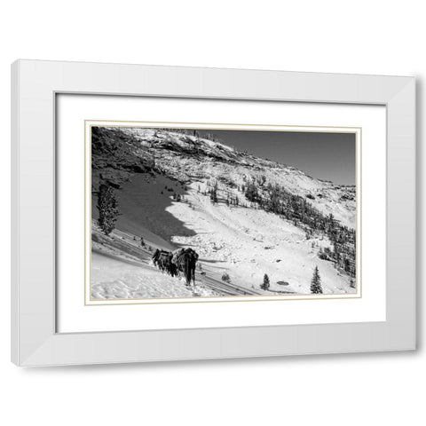 Cougar Basin Payette White Modern Wood Framed Art Print with Double Matting by Lutz, Jesse