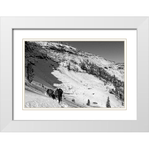Cougar Basin Payette White Modern Wood Framed Art Print with Double Matting by Lutz, Jesse