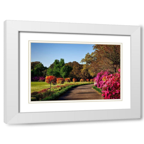 Bellingrath Gardens Alabama II White Modern Wood Framed Art Print with Double Matting by Alabama Picture Archive