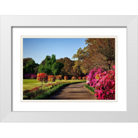 Bellingrath Gardens Alabama II White Modern Wood Framed Art Print with Double Matting by Alabama Picture Archive