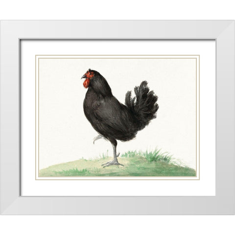 Standing Black Chicken White Modern Wood Framed Art Print with Double Matting by Bernard, Jean