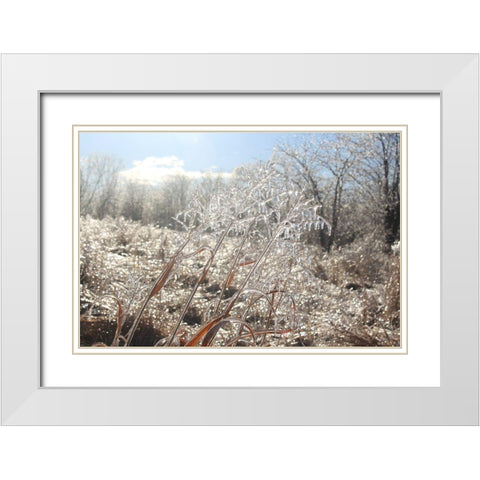Tallgrass Trail at Big Muddy National Fish and Wildlife Refuge-Missouri White Modern Wood Framed Art Print with Double Matting by Weyers, Anna