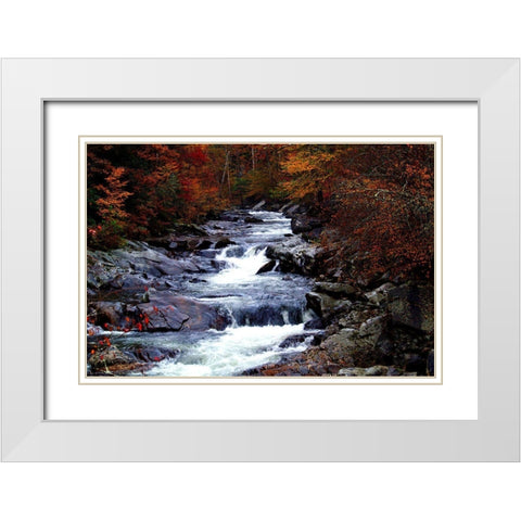 Tennessee Great Smoky Mountains National Park White Modern Wood Framed Art Print with Double Matting by Tennessee Picture Archive
