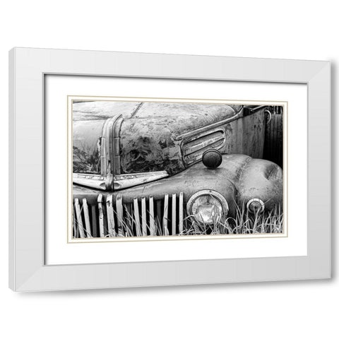 Back to Nature White Modern Wood Framed Art Print with Double Matting by Vintage Photo Archive