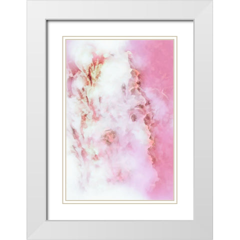 Dreaming of Roses White Modern Wood Framed Art Print with Double Matting by Alpenglow Workshop