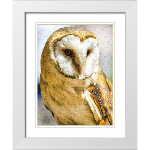 Barn Owl White Modern Wood Framed Art Print with Double Matting by Alpenglow Workshop
