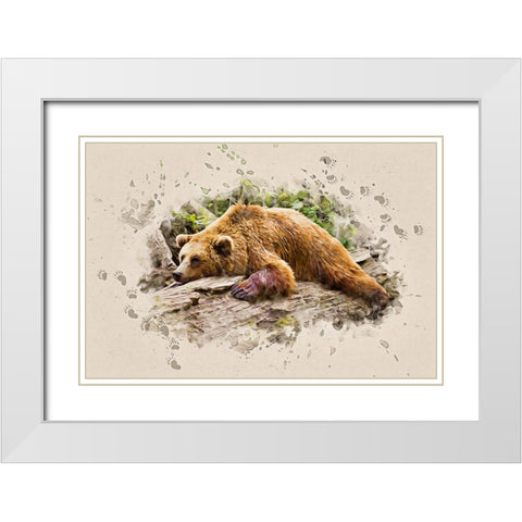 Bearly There White Modern Wood Framed Art Print with Double Matting by Alpenglow Workshop