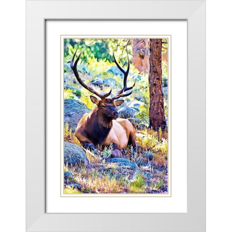 Bull Elk White Modern Wood Framed Art Print with Double Matting by Alpenglow Workshop
