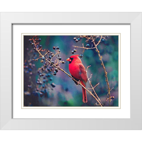 Cardinal and Berries White Modern Wood Framed Art Print with Double Matting by Alpenglow Workshop