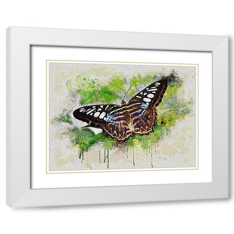 Outstretched Wings White Modern Wood Framed Art Print with Double Matting by Alpenglow Workshop