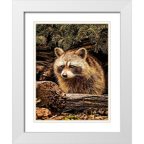 Raccoon White Modern Wood Framed Art Print with Double Matting by Alpenglow Workshop