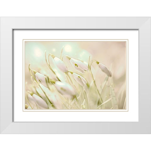 Enchanting Snowdrops White Modern Wood Framed Art Print with Double Matting by Alpenglow Workshop