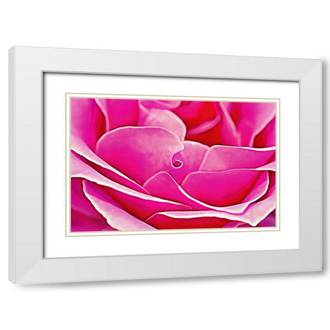 Pink Perfection Rose White Modern Wood Framed Art Print with Double Matting by Alpenglow Workshop