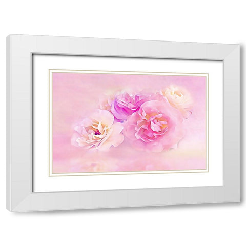 Pink Roses in the Clouds White Modern Wood Framed Art Print with Double Matting by Alpenglow Workshop