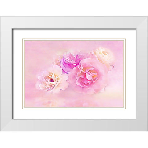 Pink Roses in the Clouds White Modern Wood Framed Art Print with Double Matting by Alpenglow Workshop