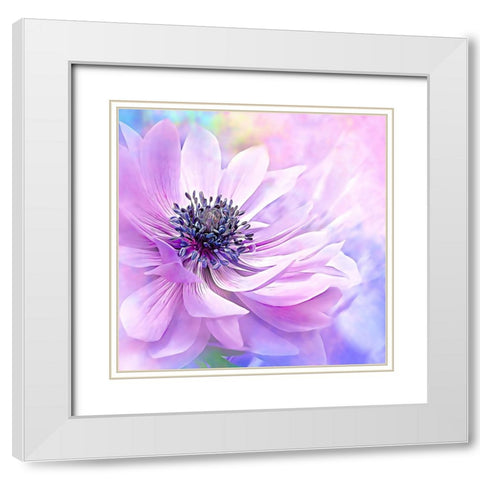 Wispy Purple Anemone White Modern Wood Framed Art Print with Double Matting by Alpenglow Workshop