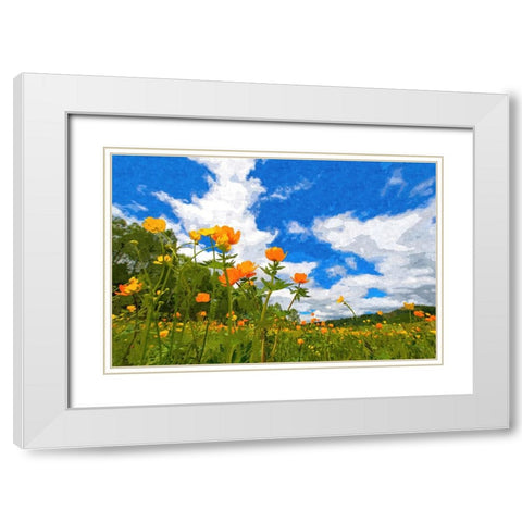 California Poppies under Blue Skies White Modern Wood Framed Art Print with Double Matting by Alpenglow Workshop