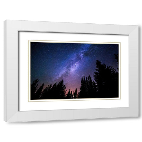 Conifers Reaching to Milky Way White Modern Wood Framed Art Print with Double Matting by Alpenglow Workshop