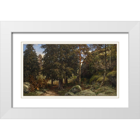 Forest Interior White Modern Wood Framed Art Print with Double Matting by Alpenglow Workshop