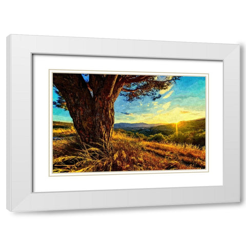 Gnarled Tree at Sunset White Modern Wood Framed Art Print with Double Matting by Alpenglow Workshop