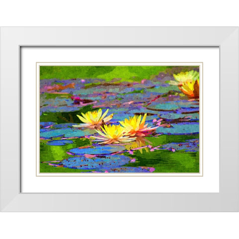 Yellow Water Lillies White Modern Wood Framed Art Print with Double Matting by Alpenglow Workshop