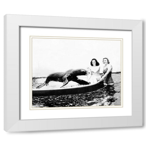 Sharkey the Seal, 1941 White Modern Wood Framed Art Print with Double Matting by Vintage Hollywood Archive