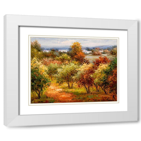 Autumn Colors I White Modern Wood Framed Art Print with Double Matting by Hulsey