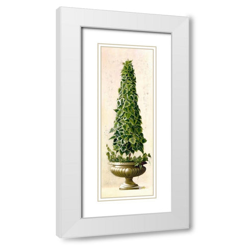 Florentine Topiary I White Modern Wood Framed Art Print with Double Matting by Welby