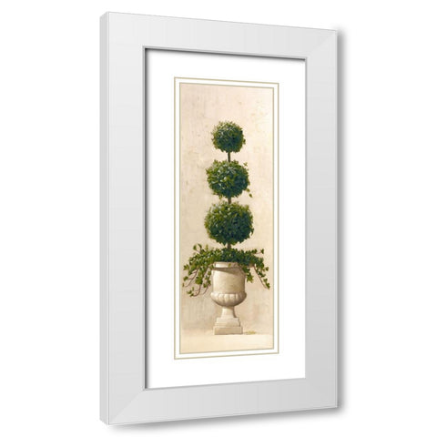 Roman Topiary II White Modern Wood Framed Art Print with Double Matting by Welby