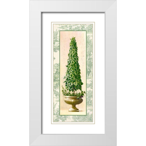 Ivy Topiary I White Modern Wood Framed Art Print with Double Matting by Welby
