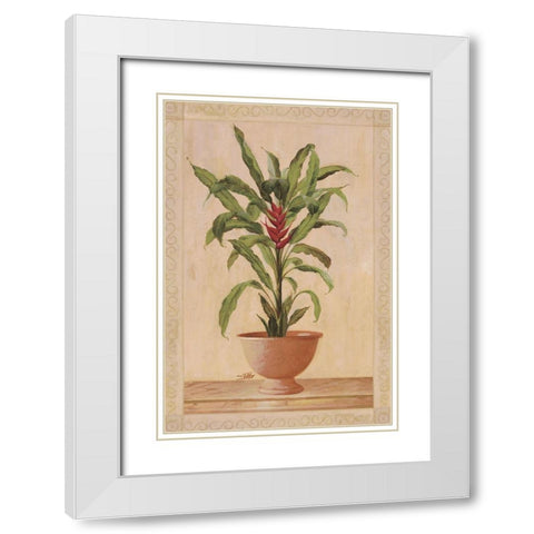 Potted Palm II White Modern Wood Framed Art Print with Double Matting by Welby