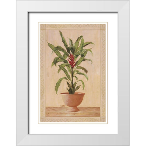 Potted Palm II White Modern Wood Framed Art Print with Double Matting by Welby