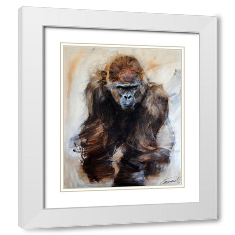 Gorilla Glare White Modern Wood Framed Art Print with Double Matting by Campbell, Robert