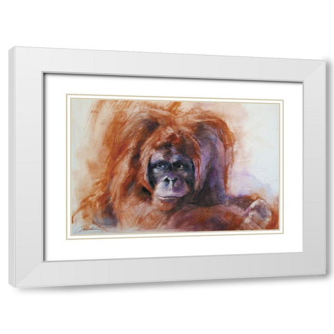 The Daydreamer Orangutan White Modern Wood Framed Art Print with Double Matting by Campbell, Robert
