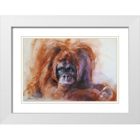 The Daydreamer Orangutan White Modern Wood Framed Art Print with Double Matting by Campbell, Robert