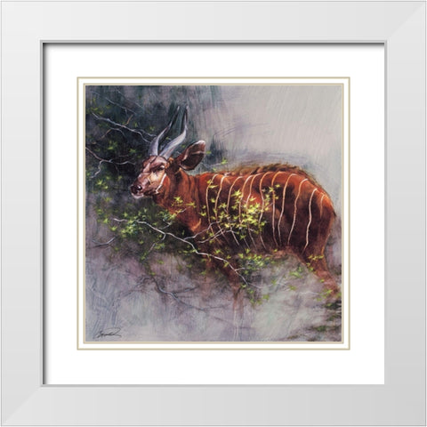 Bongo in the Brush White Modern Wood Framed Art Print with Double Matting by Campbell, Robert