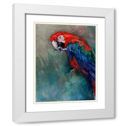 Aw Macaw White Modern Wood Framed Art Print with Double Matting by Campbell, Robert