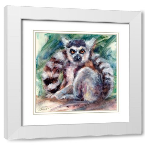 Ring Tailed Lemur White Modern Wood Framed Art Print with Double Matting by Campbell, Robert