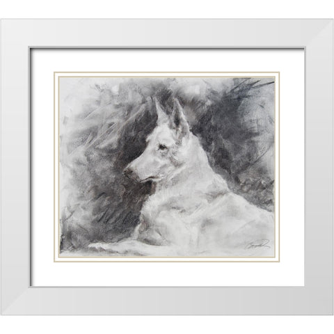 White Shepherd in Grey White Modern Wood Framed Art Print with Double Matting by Campbell, Robert