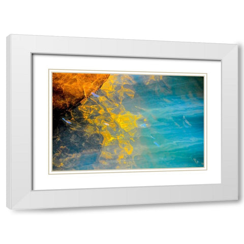 Blazing Star White Modern Wood Framed Art Print with Double Matting by Cooper, Helena