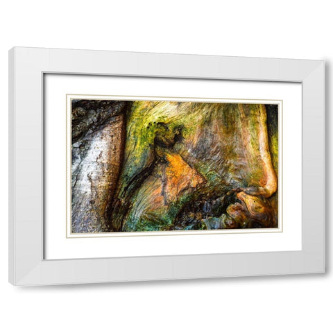 Dionysus White Modern Wood Framed Art Print with Double Matting by Cooper, Helena