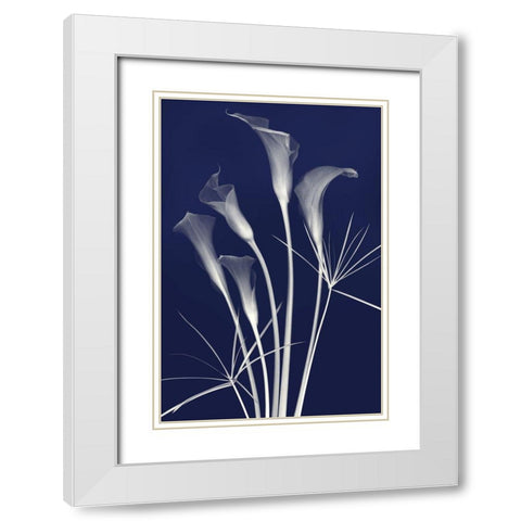 Elongated Elegance in Indigo White Modern Wood Framed Art Print with Double Matting by Robertson, Leda