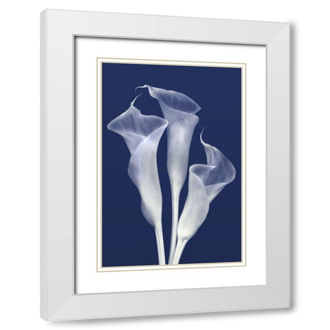 Sentinels of Light in Indigo White Modern Wood Framed Art Print with Double Matting by Robertson, Leda