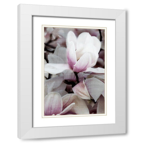 Petal Heaven I White Modern Wood Framed Art Print with Double Matting by Robertson, Leda