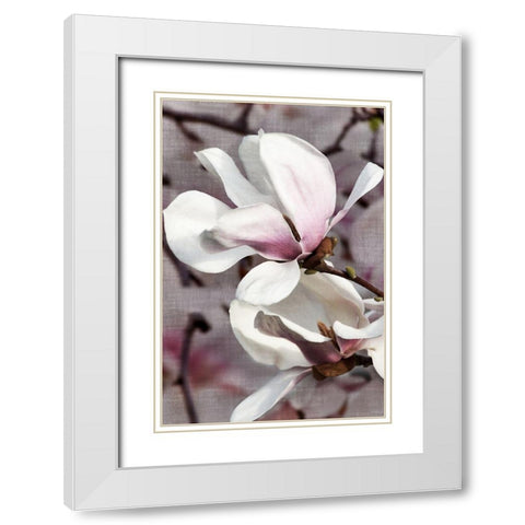 Petal Heaven II White Modern Wood Framed Art Print with Double Matting by Robertson, Leda