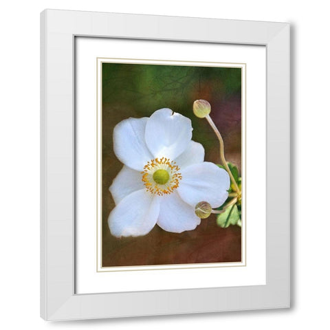 Playful Petals II White Modern Wood Framed Art Print with Double Matting by Robertson, Leda