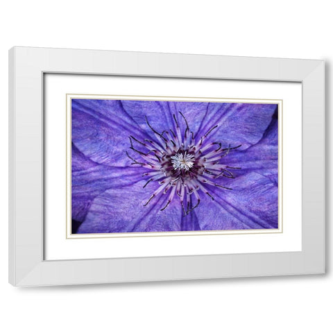Inner Workings I White Modern Wood Framed Art Print with Double Matting by Robertson, Leda