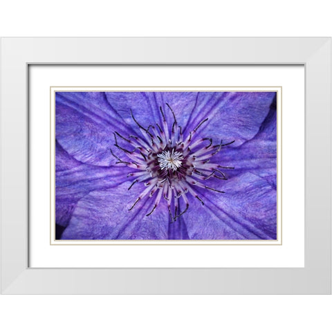 Inner Workings I White Modern Wood Framed Art Print with Double Matting by Robertson, Leda