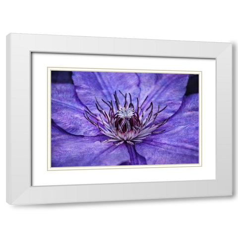 Inner Workings II White Modern Wood Framed Art Print with Double Matting by Robertson, Leda