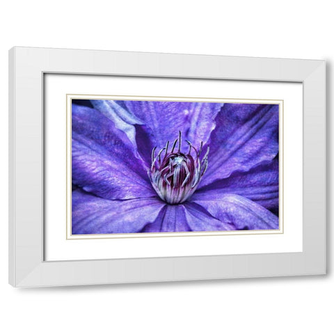 Intimate Unfolding White Modern Wood Framed Art Print with Double Matting by Robertson, Leda